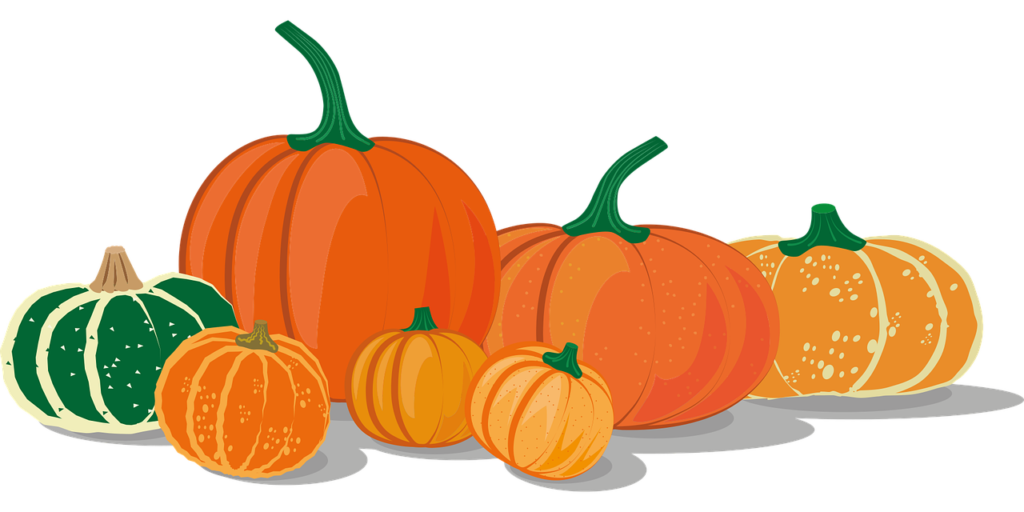 pumpkins, squash, icon-5570855.jpg