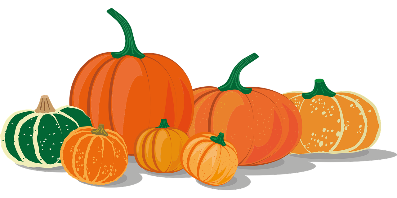 pumpkins, squash, icon-5570855.jpg