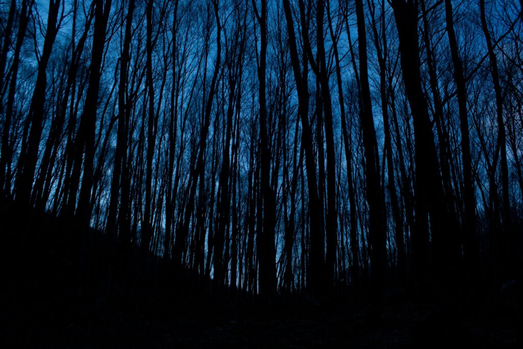 The Spooky Ramble: A Halloween Junkies Guide to the Worlds Most Sinister Forests
