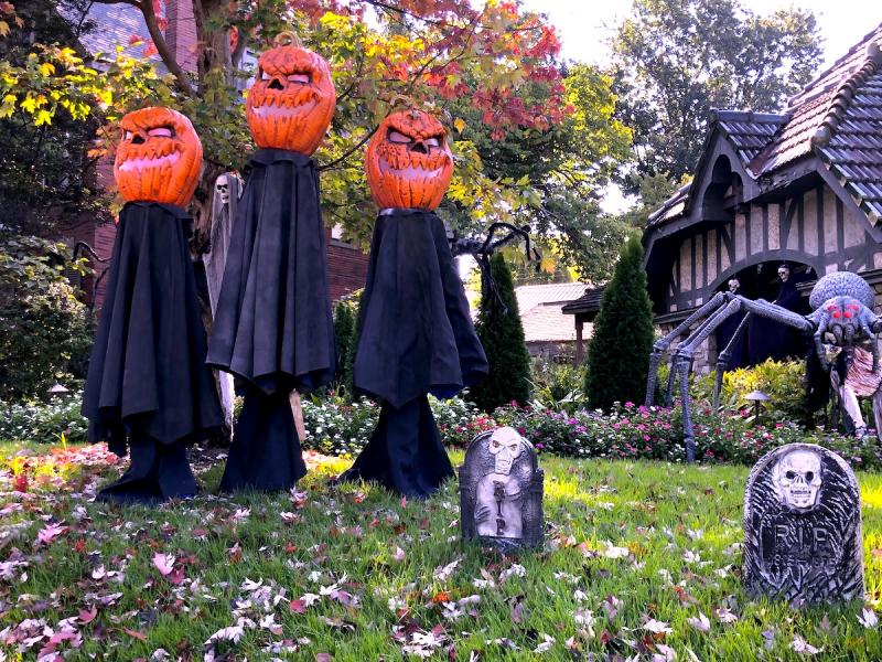 Unveiling the Mystery: Creating a Spooky Halloween Garden