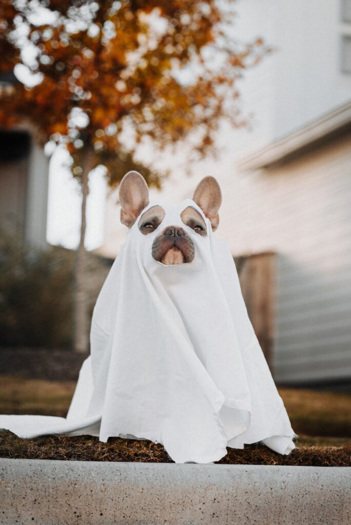 DIY Spooky Halloween Decorations